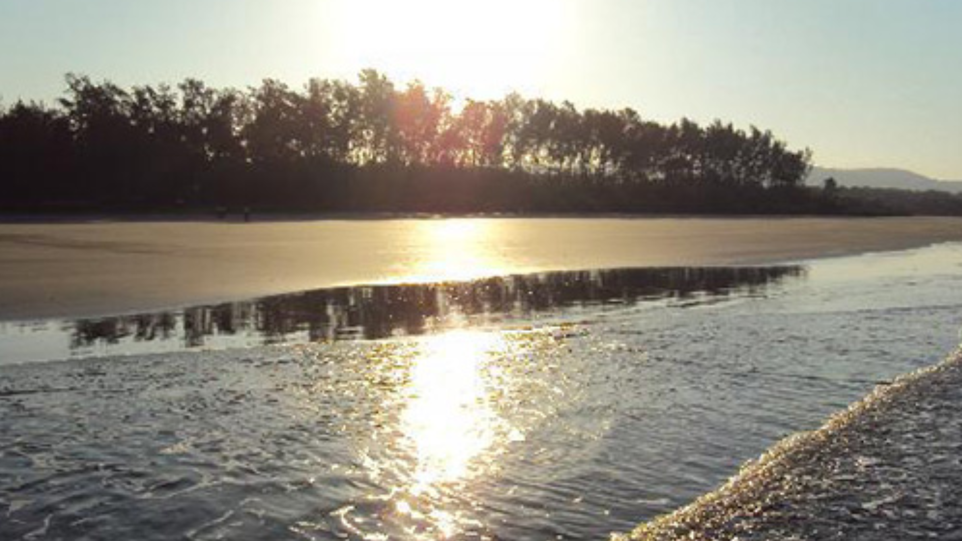 Image 02